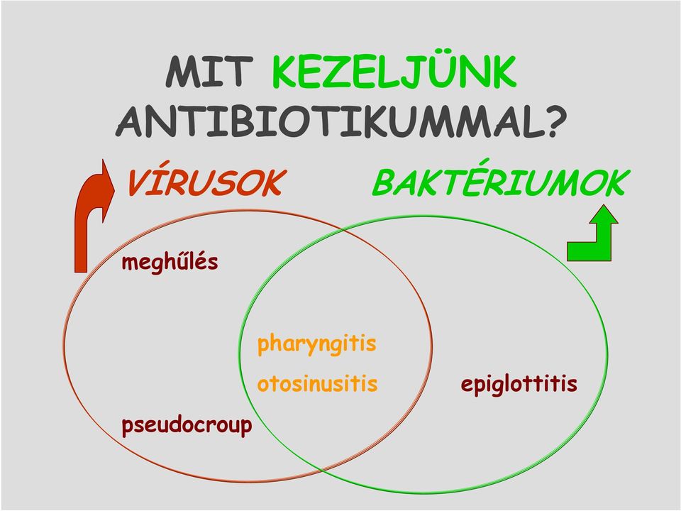 VÍRUSOK BAKTÉRIUMOK