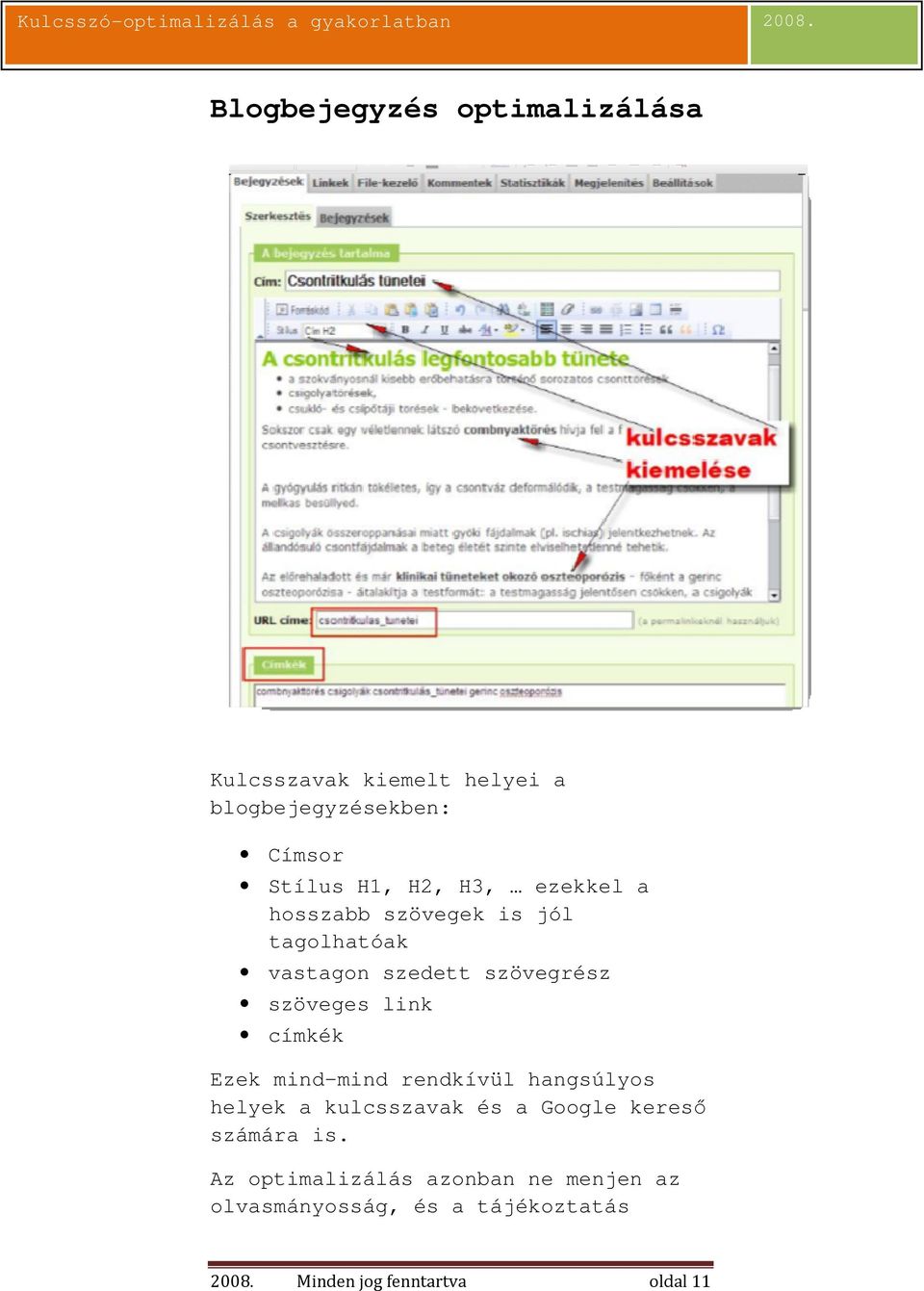 címkék Ezek mind-mind rendkívül hangsúlyos helyek a kulcsszavak és a Google keresı számára is.