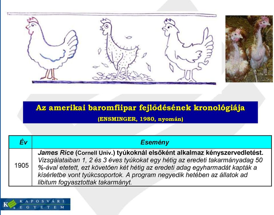 Vizsgálataiban 1, 2 és 3 éves tyúkokat egy hétig az eredeti takarmányadag 50 %-ával etetett, ezt követően