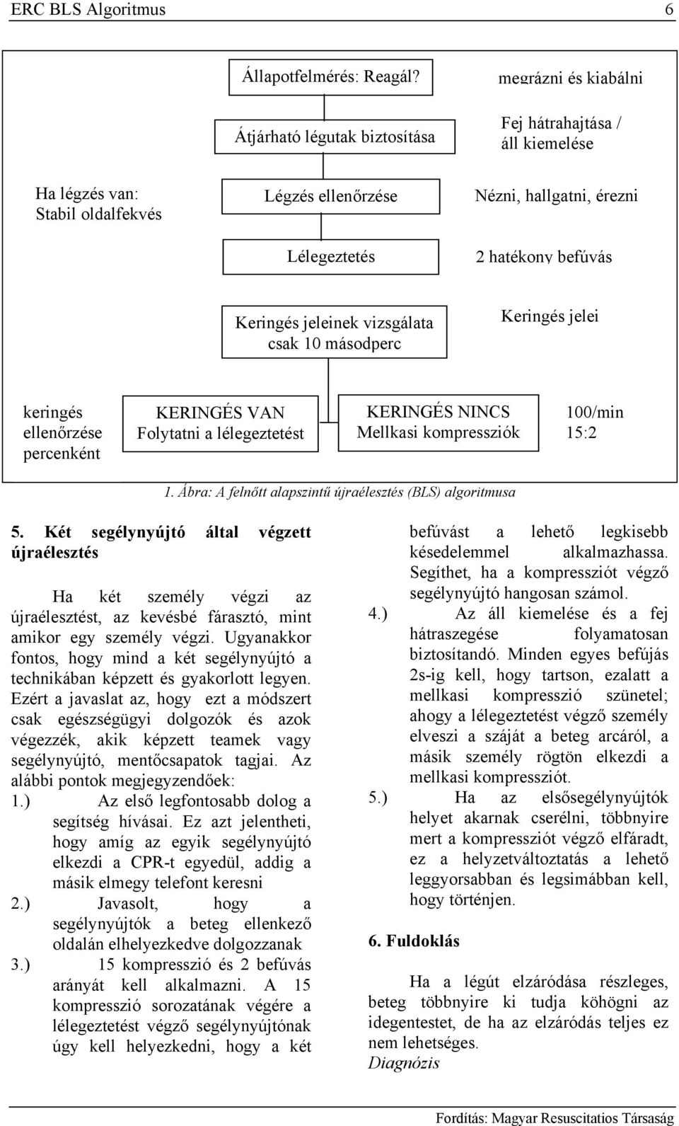 Keringés jeleinek vizsgálata csak 10 másodperc Keringés jelei keringés ellenőrzése percenként KERINGÉS VAN Folytatni a lélegeztetést KERINGÉS NINCS Mellkasi kompressziók 100/min 15:2 1.