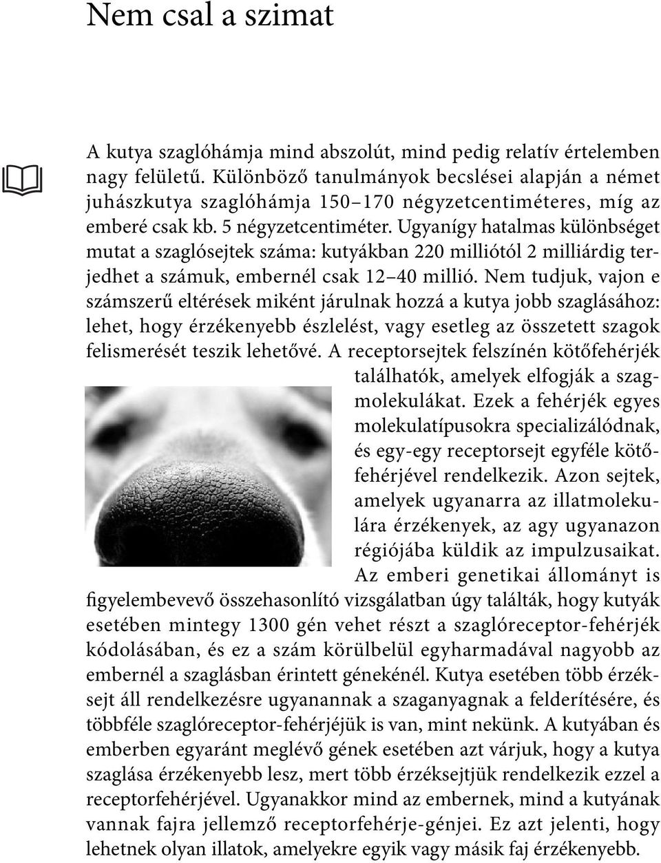 Ugyanígy hatalmas különbséget mutat a szaglósejtek száma: kutyákban 220 milliótól 2 milliárdig terjedhet a számuk, embernél csak 12 40 millió.