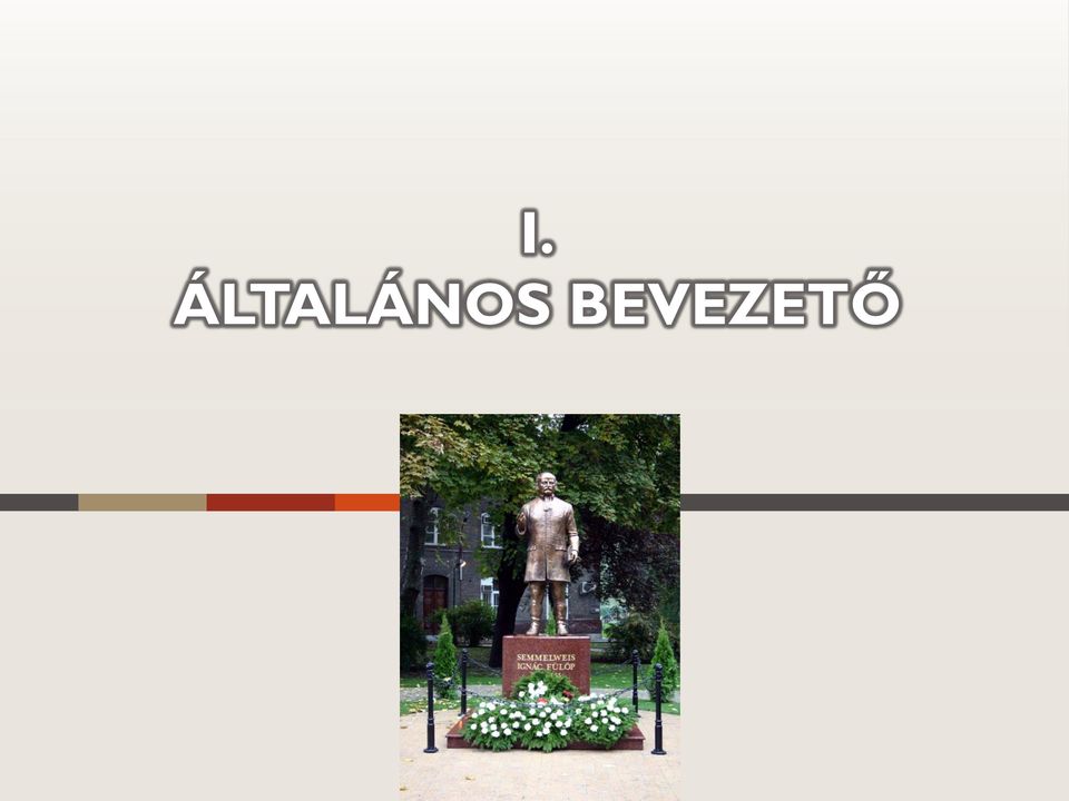 BEVEZETŐ