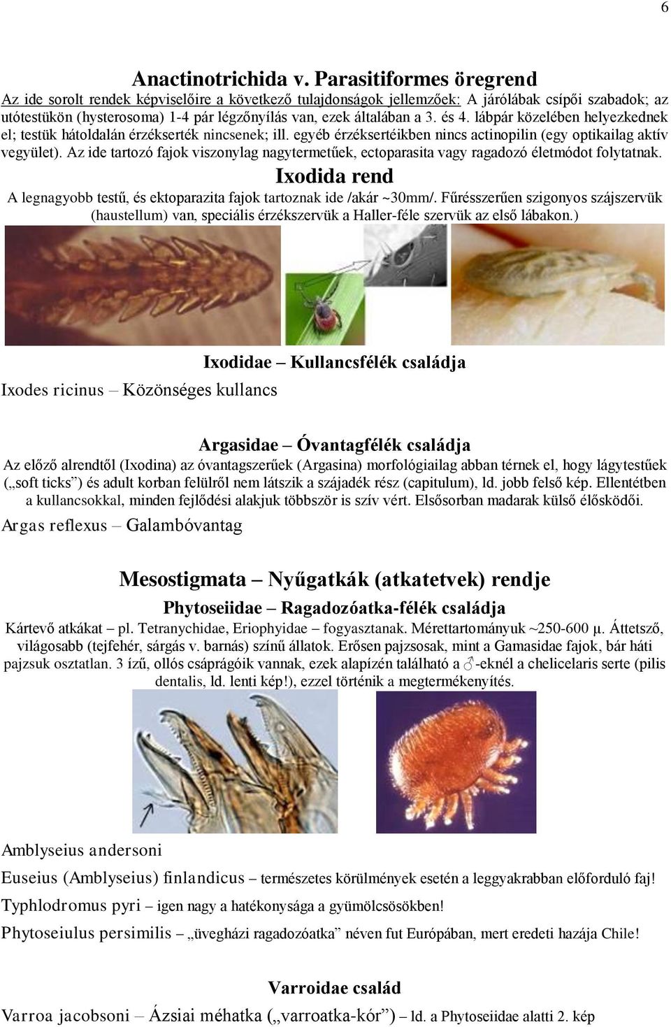 és 4. lábpár közelében helyezkednek el; testük hátoldalán érzékserték nincsenek; ill. egyéb érzéksertéikben nincs actinopilin (egy optikailag aktív vegyület).