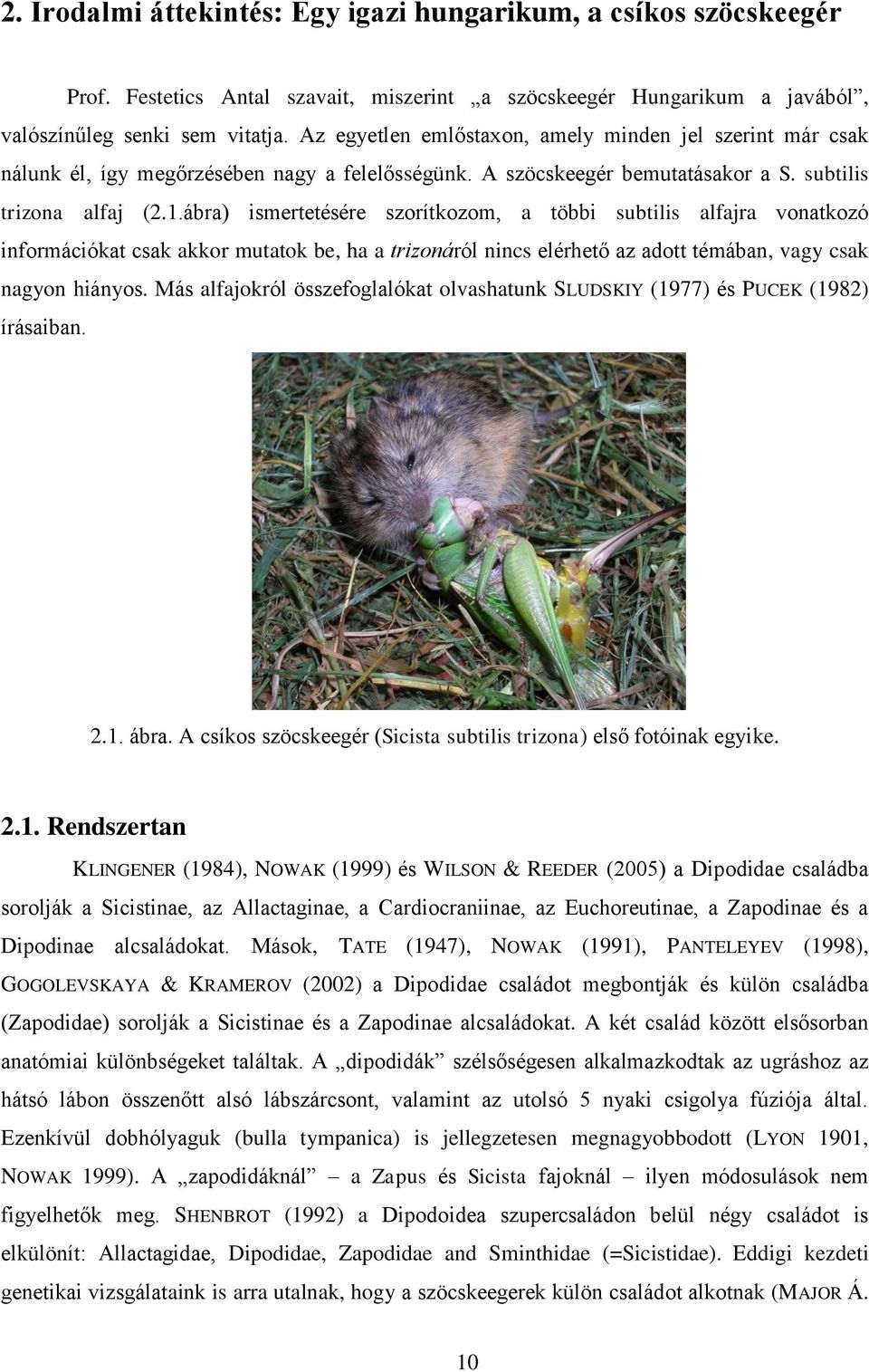 ábra) ismertetésére szorítkozom, a többi subtilis alfajra vonatkozó információkat csak akkor mutatok be, ha a trizonáról nincs elérhető az adott témában, vagy csak nagyon hiányos.