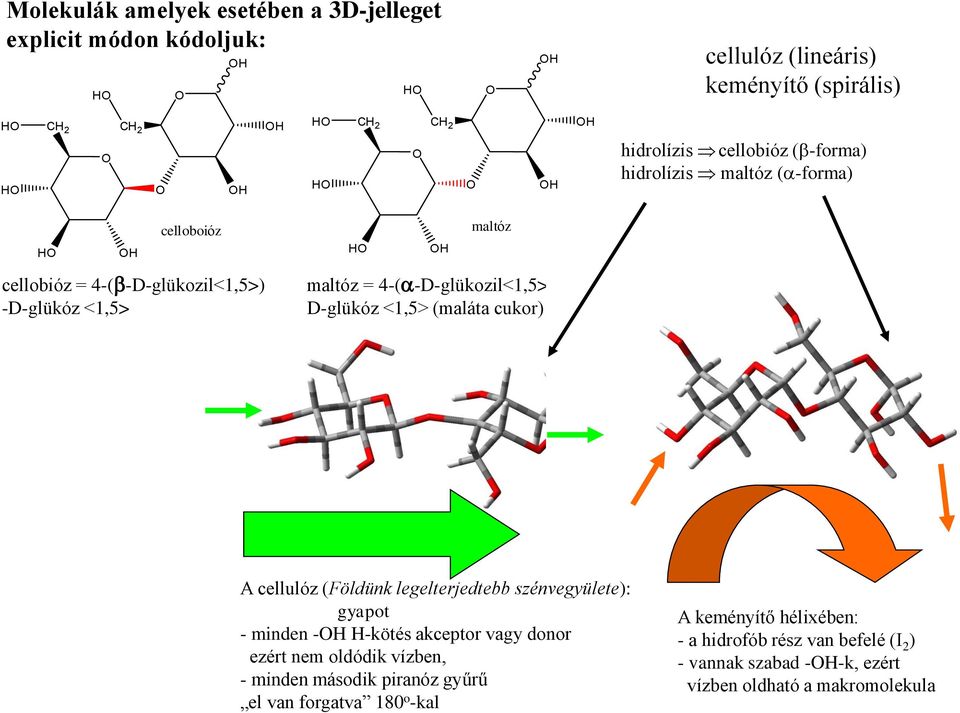cukor) A cellulóz (Földünk legelterjedtebb szénvegyülete): gyapot - minden - -kötés akceptor vagy donor ezért nem oldódik vízben, - minden második