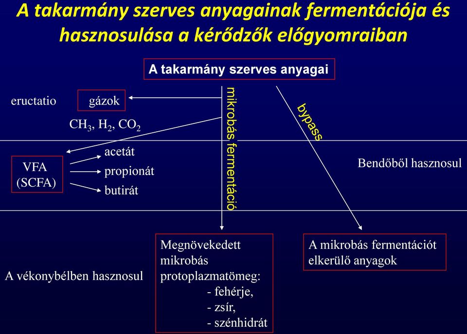 butirát mikrobás fermentáció Bendőből hasznosul A vékonybélben hasznosul Megnövekedett