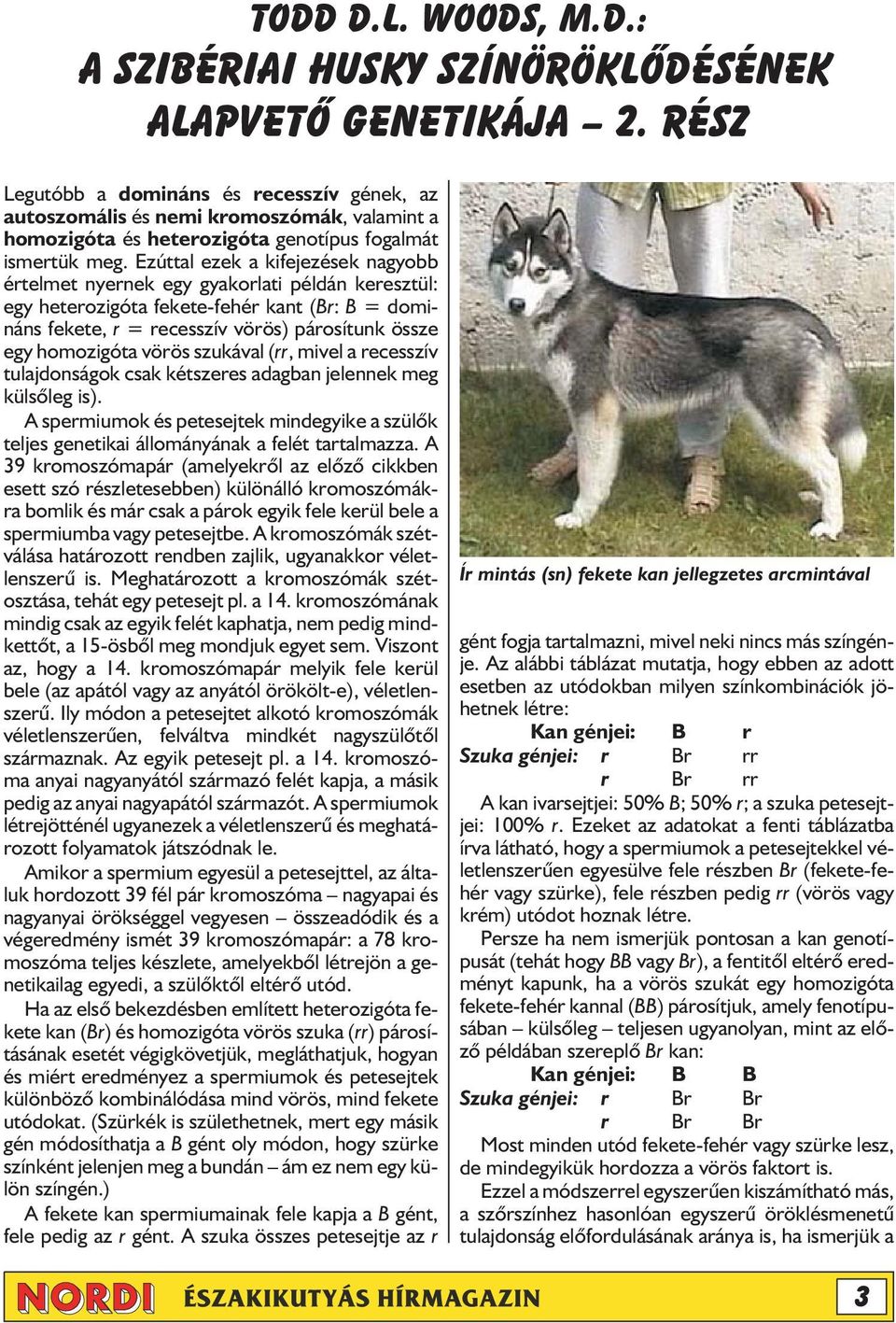 Ezúttal ezek a kifejezések nagyobb értelmet nyernek egy gyakorlati példán keresztül: egy heterozigóta fekete-fehér kant (Br: B = domináns fekete, r = recesszív vörös) párosítunk össze egy homozigóta