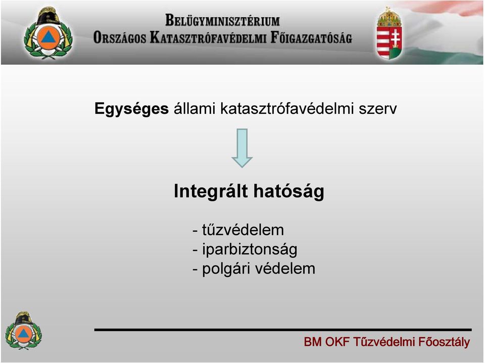 Integrált hatóság -