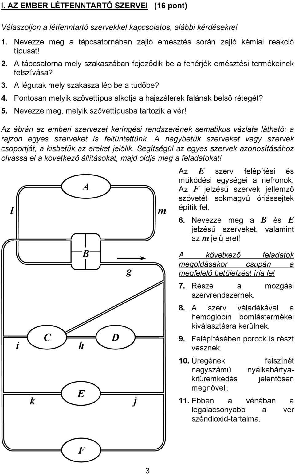 Pontosan melyik szövettípus alkotja a hajszálerek falának belső rétegét? 5. Nevezze meg, melyik szövettípusba tartozik a vér!