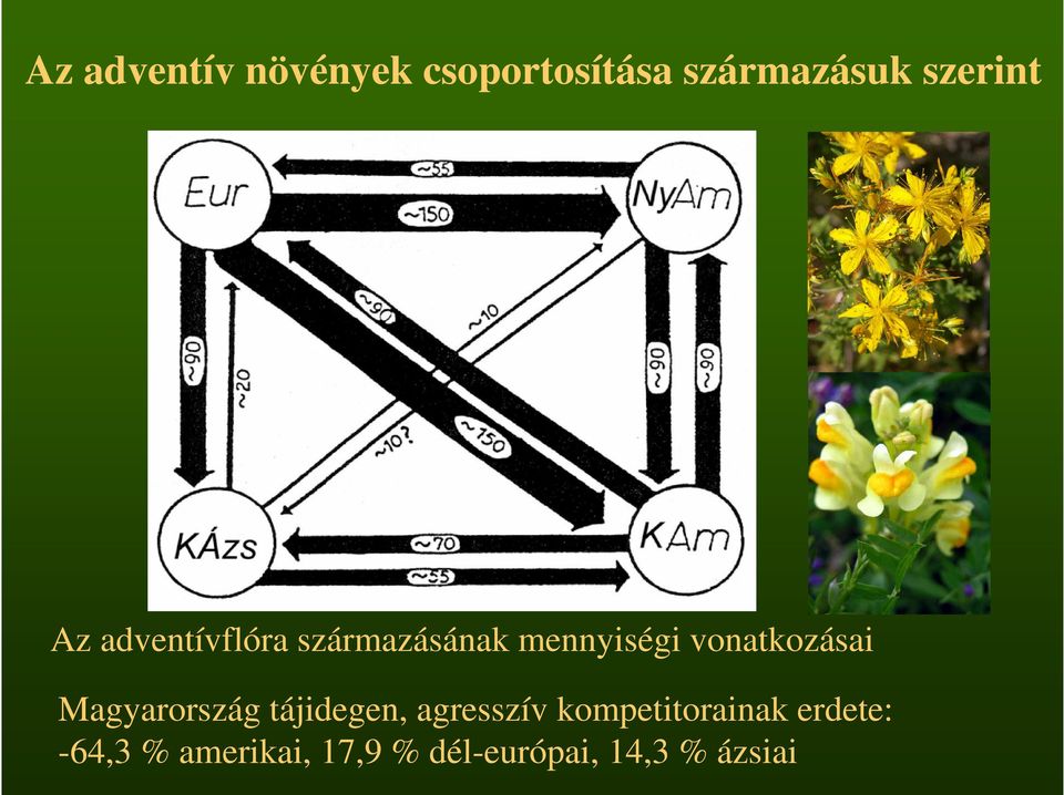 vonatkozásai Magyarország tájidegen, agresszív