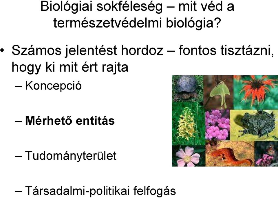 Számos jelentést hordoz fontos tisztázni, hogy