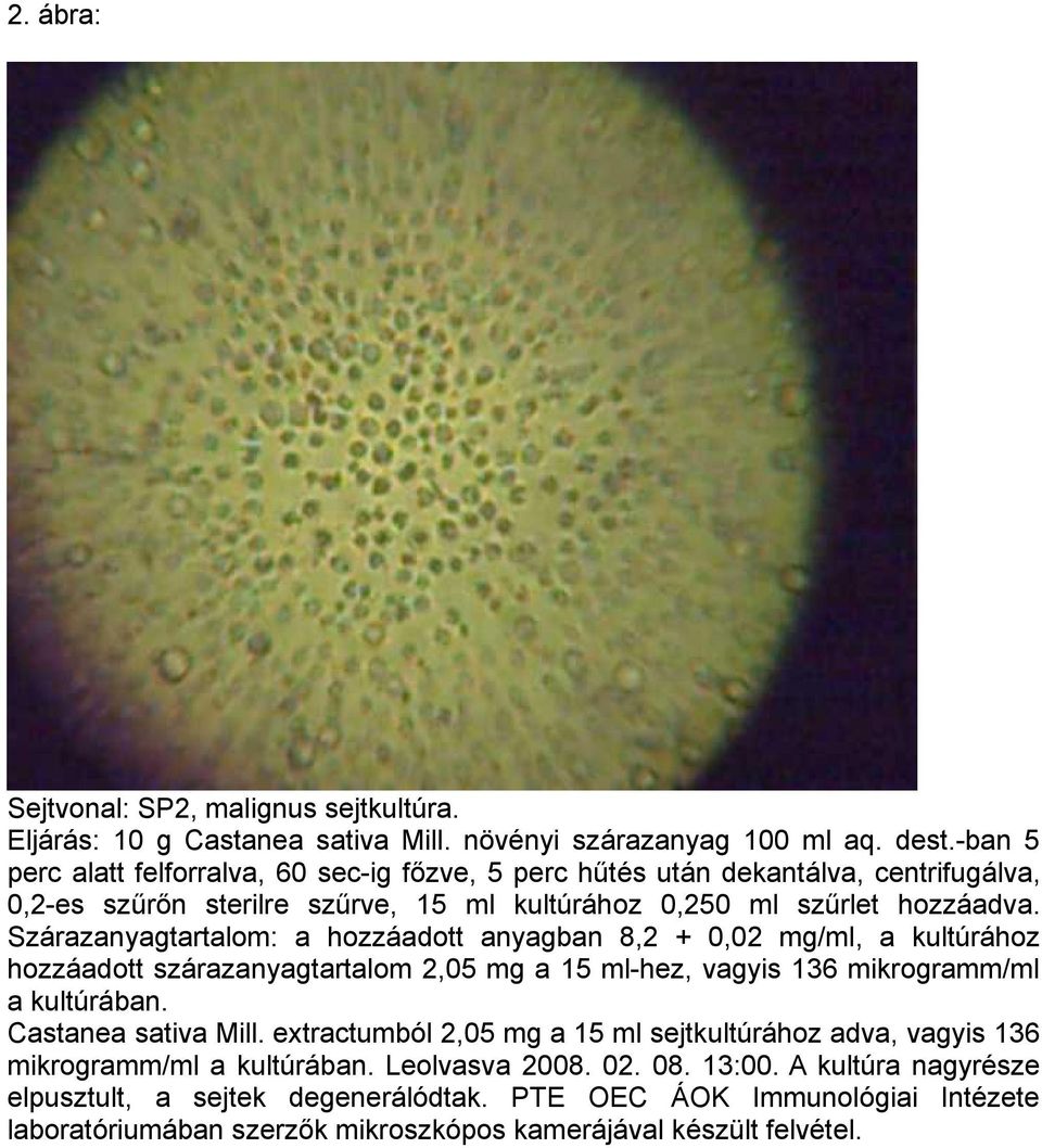 Szárazanyagtartalom: a hozzáadott anyagban 8,2 + 0,02 mg/ml, a kultúrához hozzáadott szárazanyagtartalom 2,05 mg a 15 ml-hez, vagyis 136 mikrogramm/ml a kultúrában. Castanea sativa Mill.