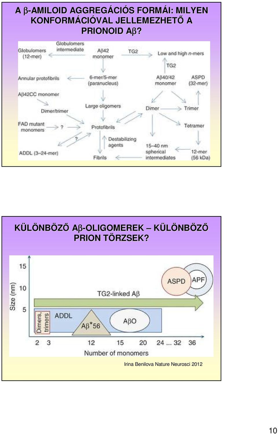 A KÜLÖNBÖZŐ Aβ-OLIGOMEREK KÜLÖNBÖZŐ PRION