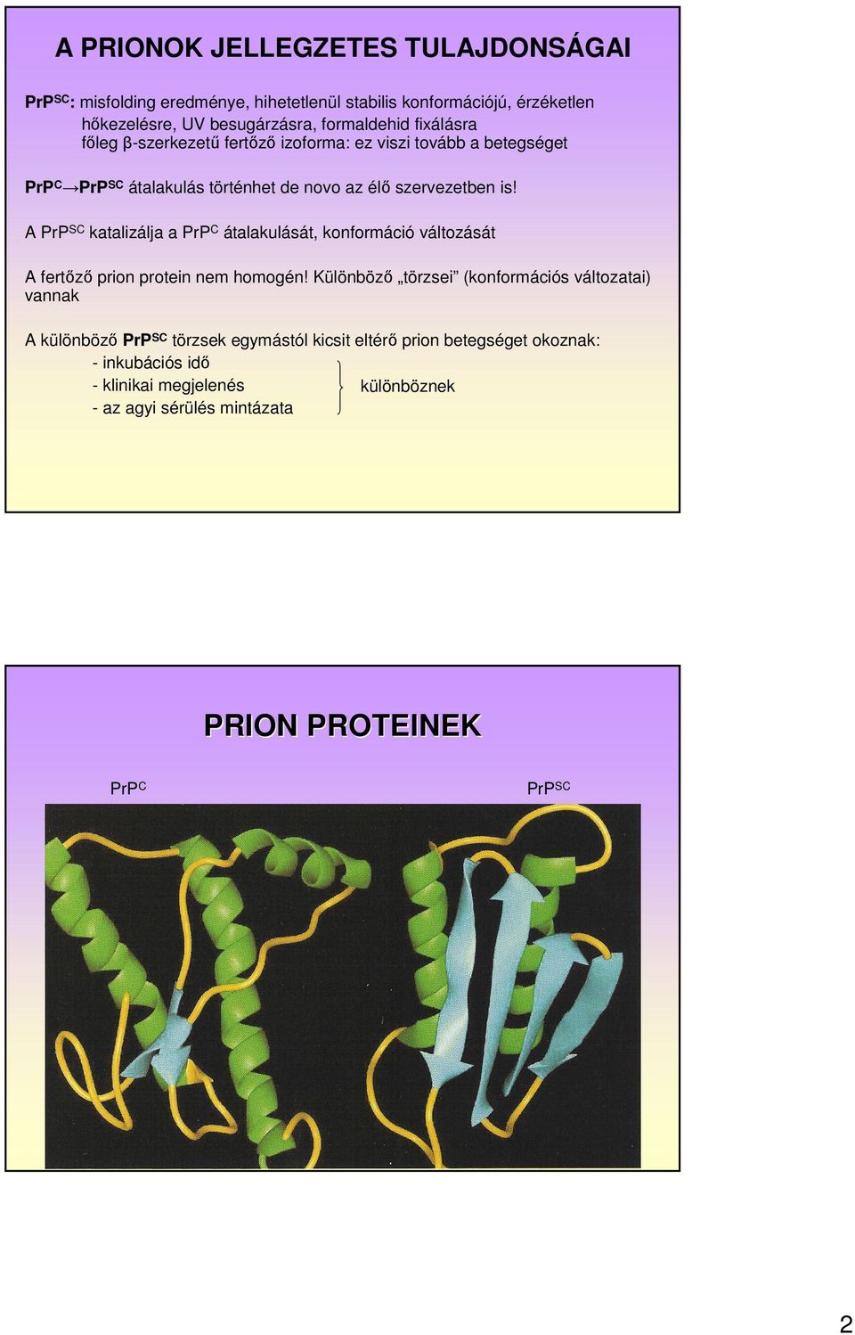 A PrP SC katalizálja a PrP C átalakulását, konformáció változását A fertőző prion protein nem homogén!
