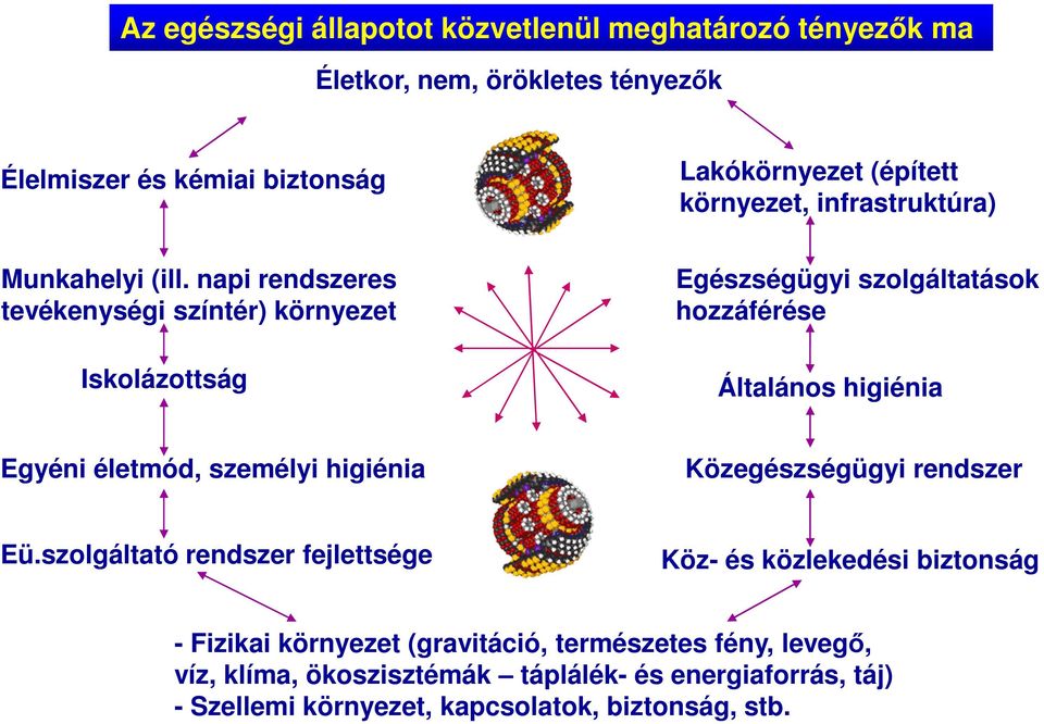 napi rendszeres tevékenységi színtér) környezet Iskolázottság Egészségügyi szolgáltatások hozzáférése Általános higiénia Egyéni életmód, személyi