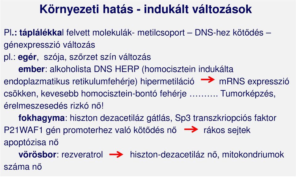 expresszió csökken, kevesebb homocisztein-bontó fehérje. Tumorképzés, érelmeszesedés rizkó nő!