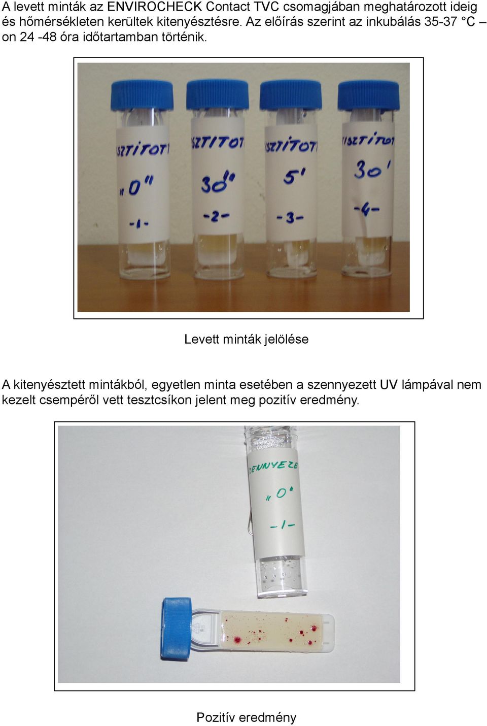Az előírás szerint az inkubálás 35-37 C on 24-48 óra időtartamban történik.