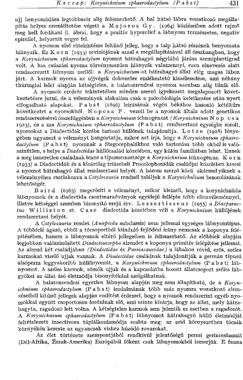 A nyomon első rátekintésre feltűnő jelleg, hogy a talp hátsó részének benyomata hiányzik.