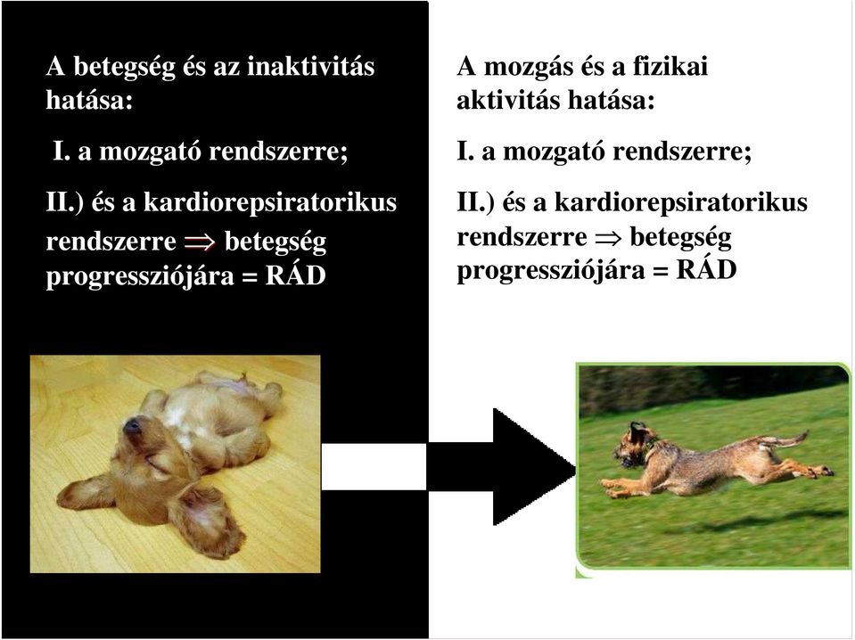 RÁD A mozgás és a fizikai aktivitás hatása: I.