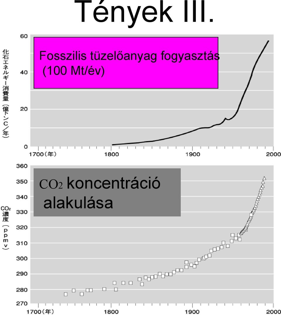 tüzelőanyag