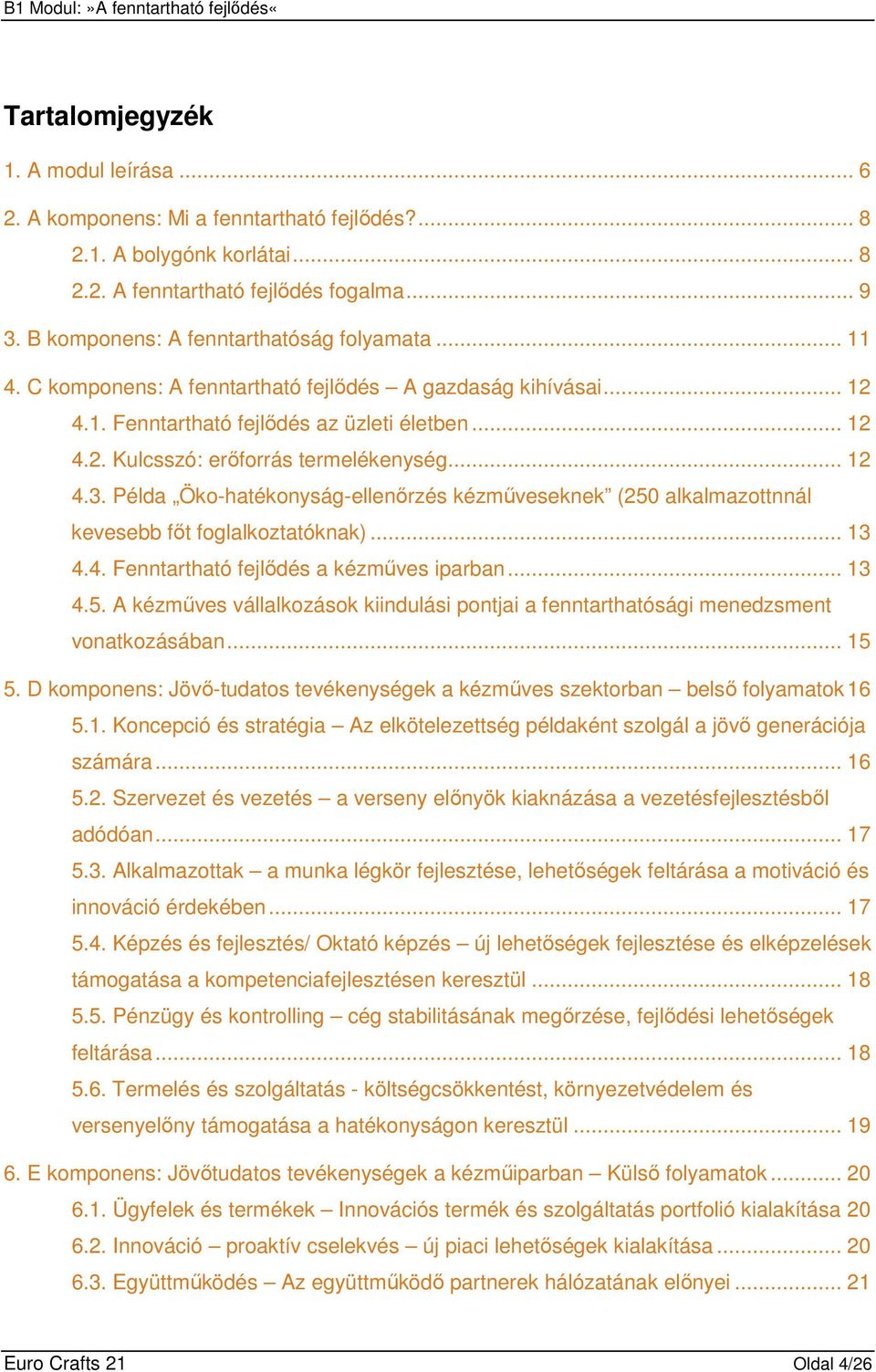 .. 12 4.3. Példa Öko-hatékonyság-ellenırzés kézmőveseknek (250 alkalmazottnnál kevesebb fıt foglalkoztatóknak)... 13 4.4. Fenntartható fejlıdés a kézmőves iparban... 13 4.5. A kézmőves vállalkozások kiindulási pontjai a fenntarthatósági menedzsment vonatkozásában.