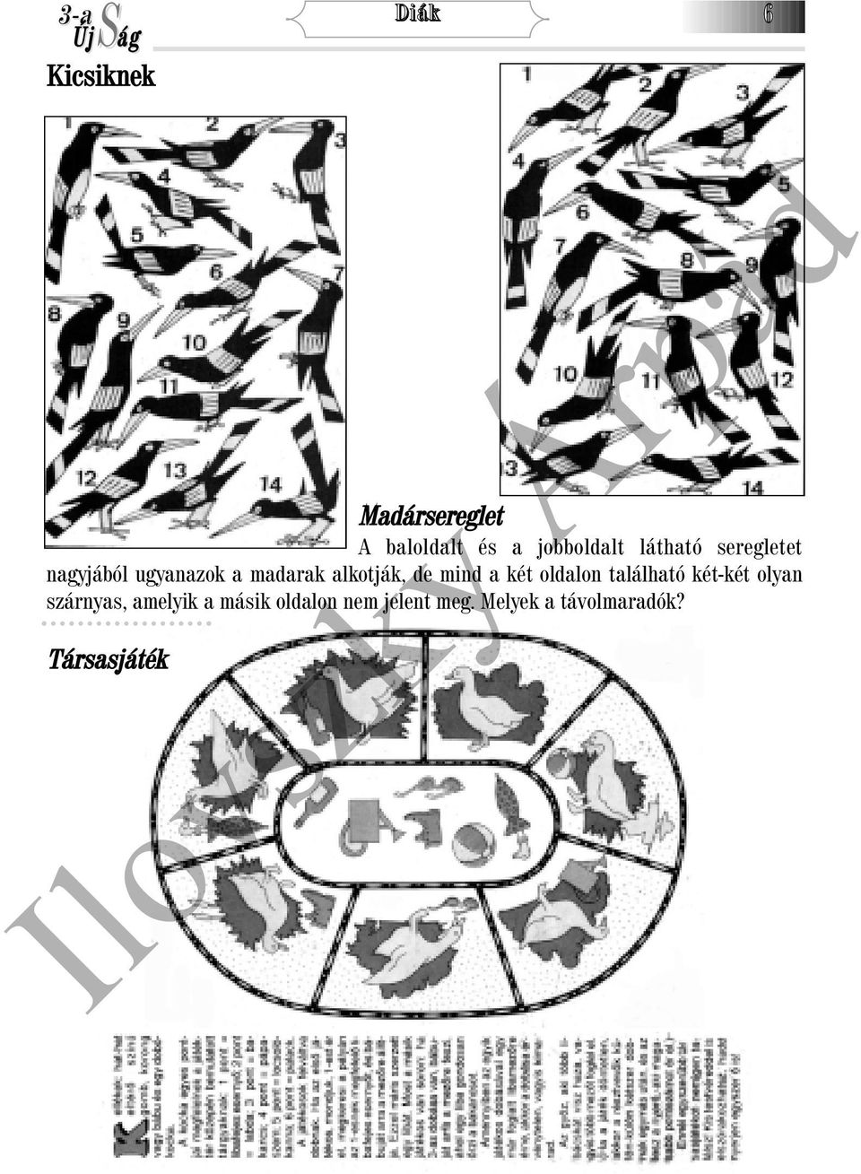 mind a két oldalon található két-két olyan szárnyas, amelyik