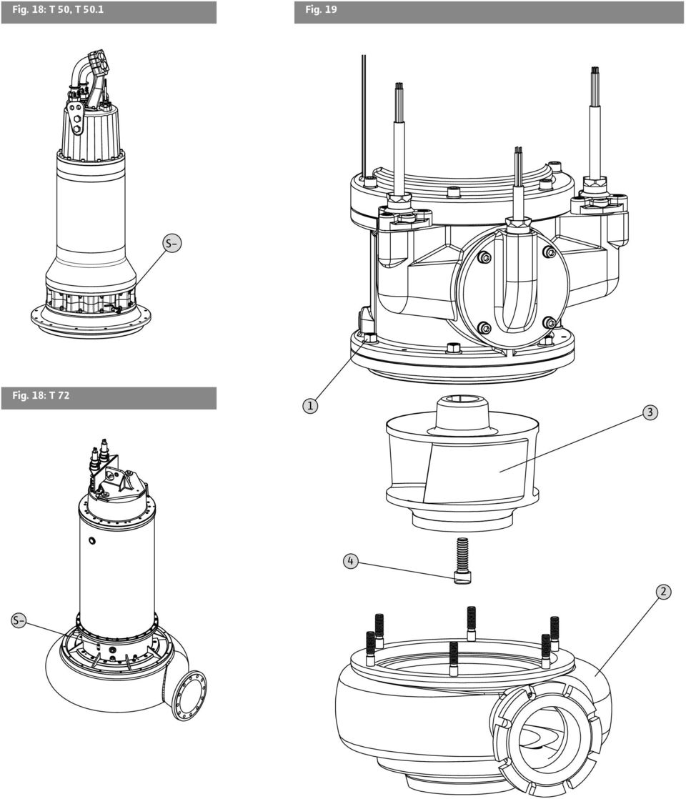 19 S- Fig.