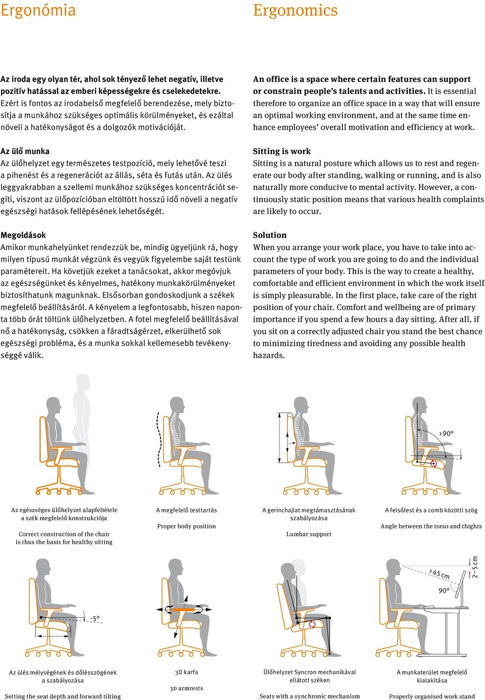 Az ülő munka Az ülőhelyzet egy természetes testpozíció, mely lehetővé teszi a pihenést és a regenerációt az állás, séta és futás után.