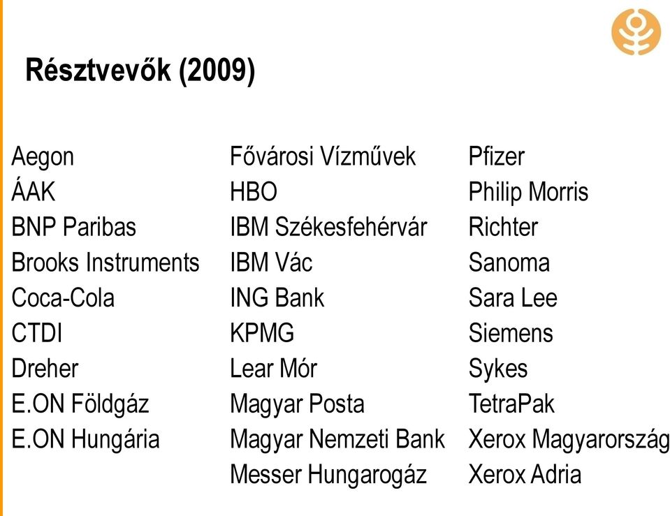 ON Hungária Fővárosi Vízművek HBO IBM Székesfehérvár IBM Vác ING Bank KPMG Lear