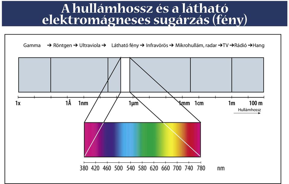 Hang 1x 1Å 1nm 1μm 1mm 1cm 1m 100 m