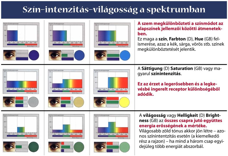 A Sättigung (D) Saturation (GB) vagy magyarul színintenzitás. Ez az érzet a legerősebben és a legkevésbé ingerelt receptor különbségéből adódik.