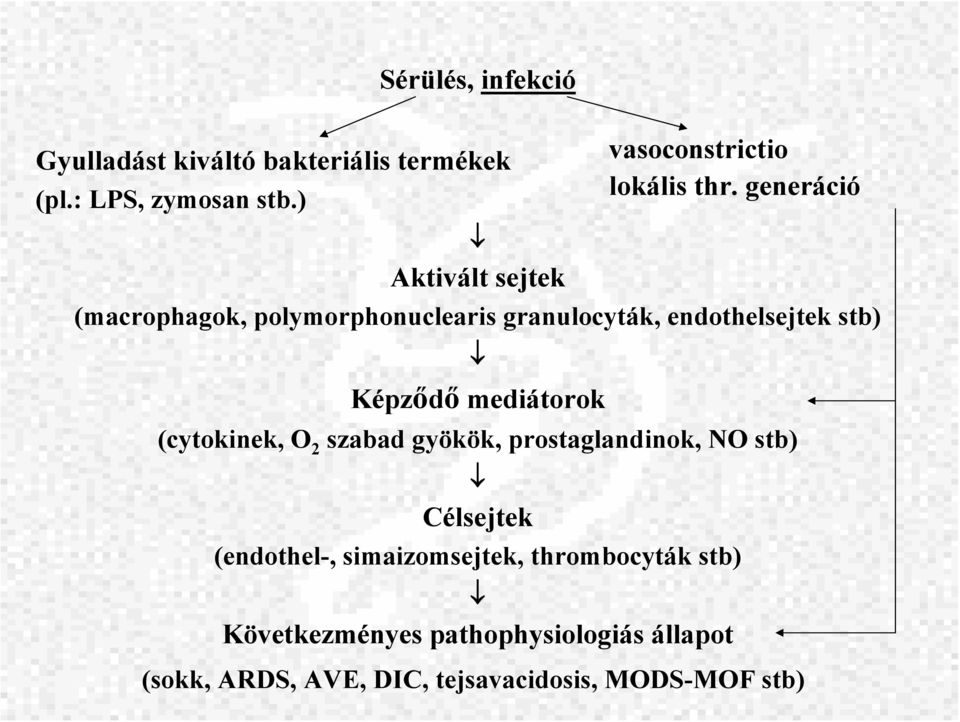 (cytokinek, O 2 szabad gyökök, prostaglandinok, NO stb) Célsejtek vasoconstrictio lokális thr.