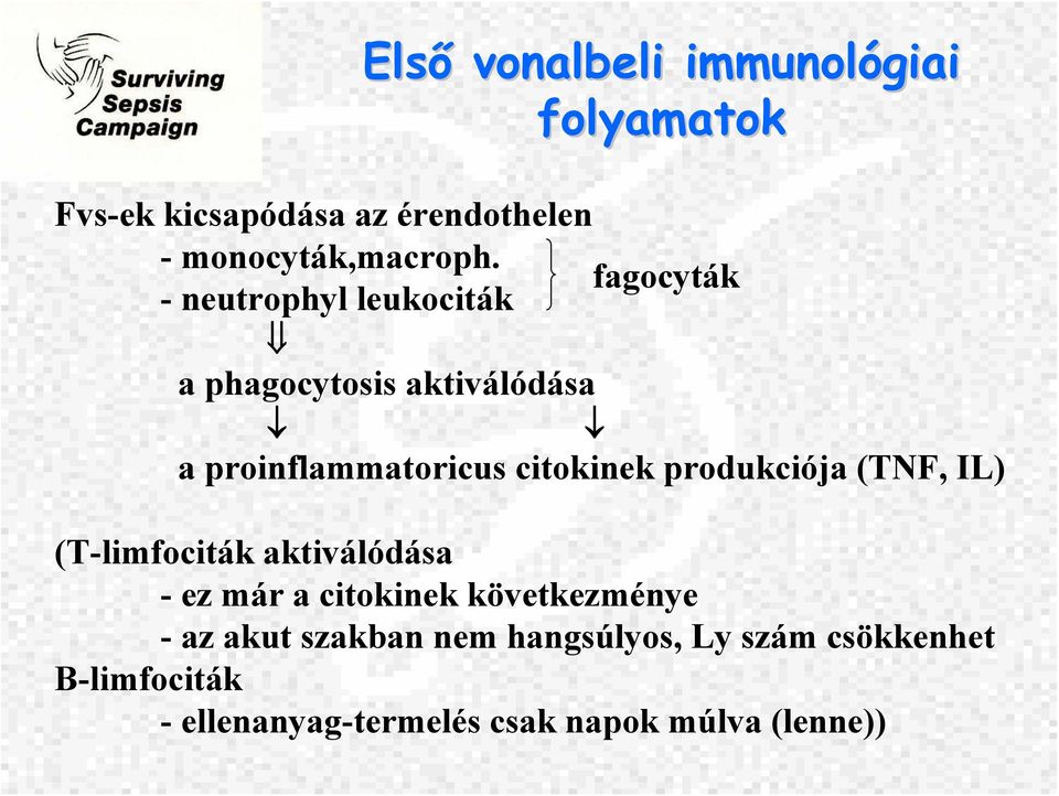 produkciója (TNF, IL) (T-limfociták aktiválódása - ez már a citokinek következménye - az akut