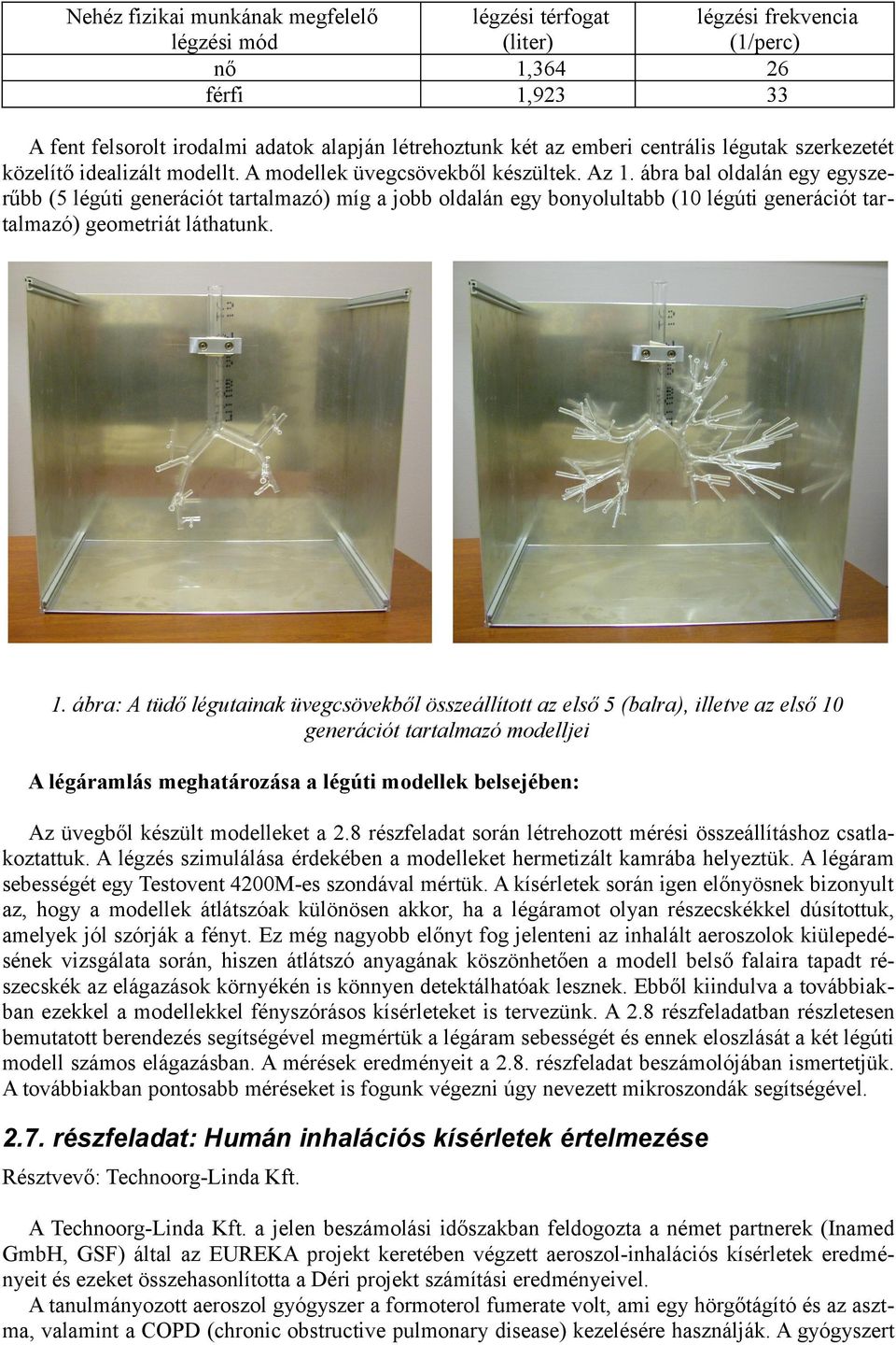 ábra bal oldalán egy egyszerűbb (5 légúti generációt tartalmazó) míg a jobb oldalán egy bonyolultabb (10 légúti generációt tartalmazó) geometriát láthatunk. 1.