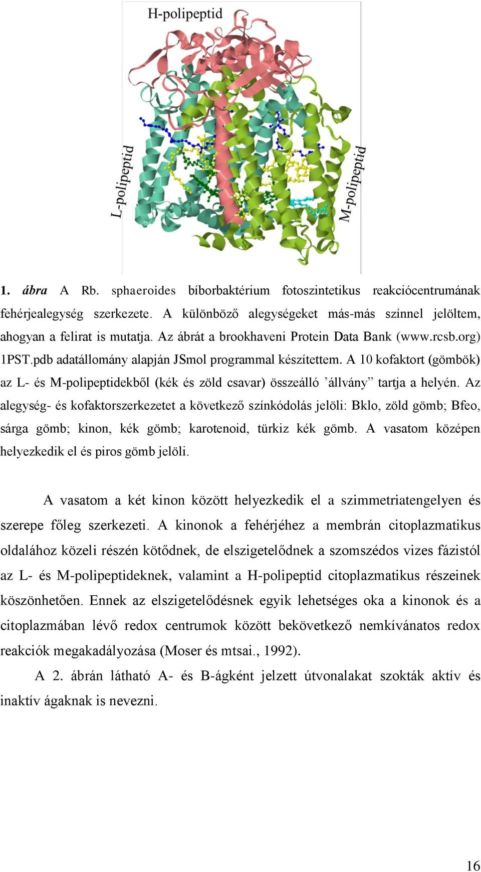 A 10 kofaktort (gömbök) az L- és M-polipeptidekből (kék és zöld csavar) összeálló állvány tartja a helyén.