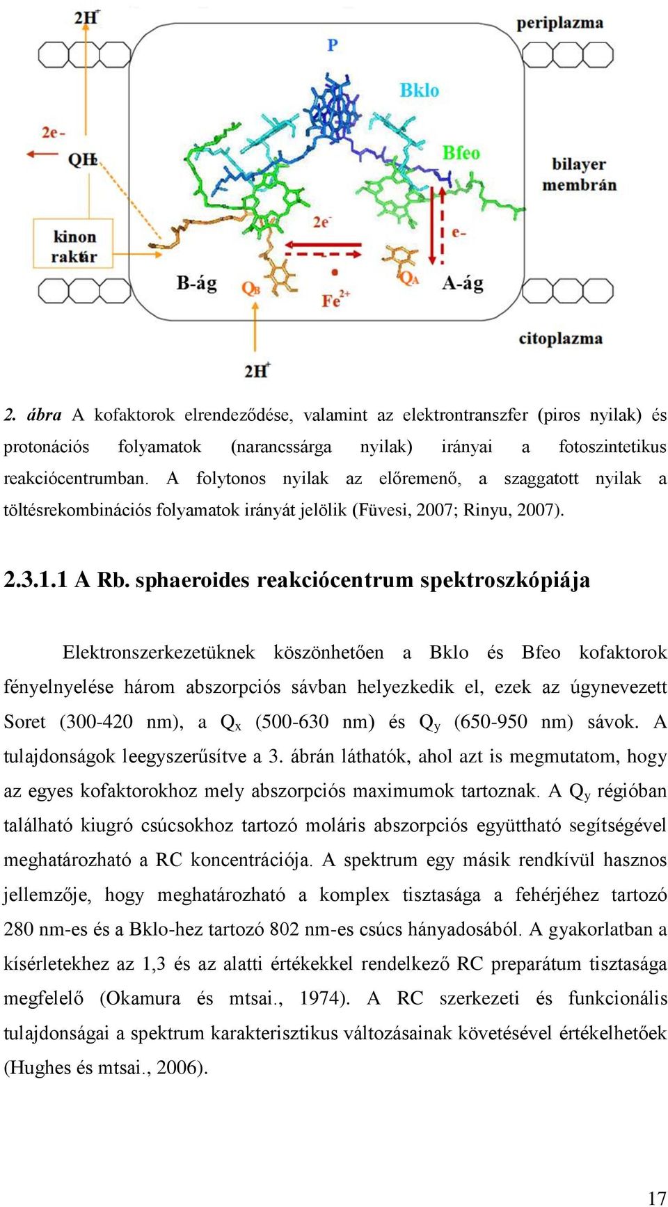 sphaeroides reakciócentrum spektroszkópiája Elektronszerkezetüknek köszönhetően a Bklo és Bfeo kofaktorok fényelnyelése három abszorpciós sávban helyezkedik el, ezek az úgynevezett Soret (300-420