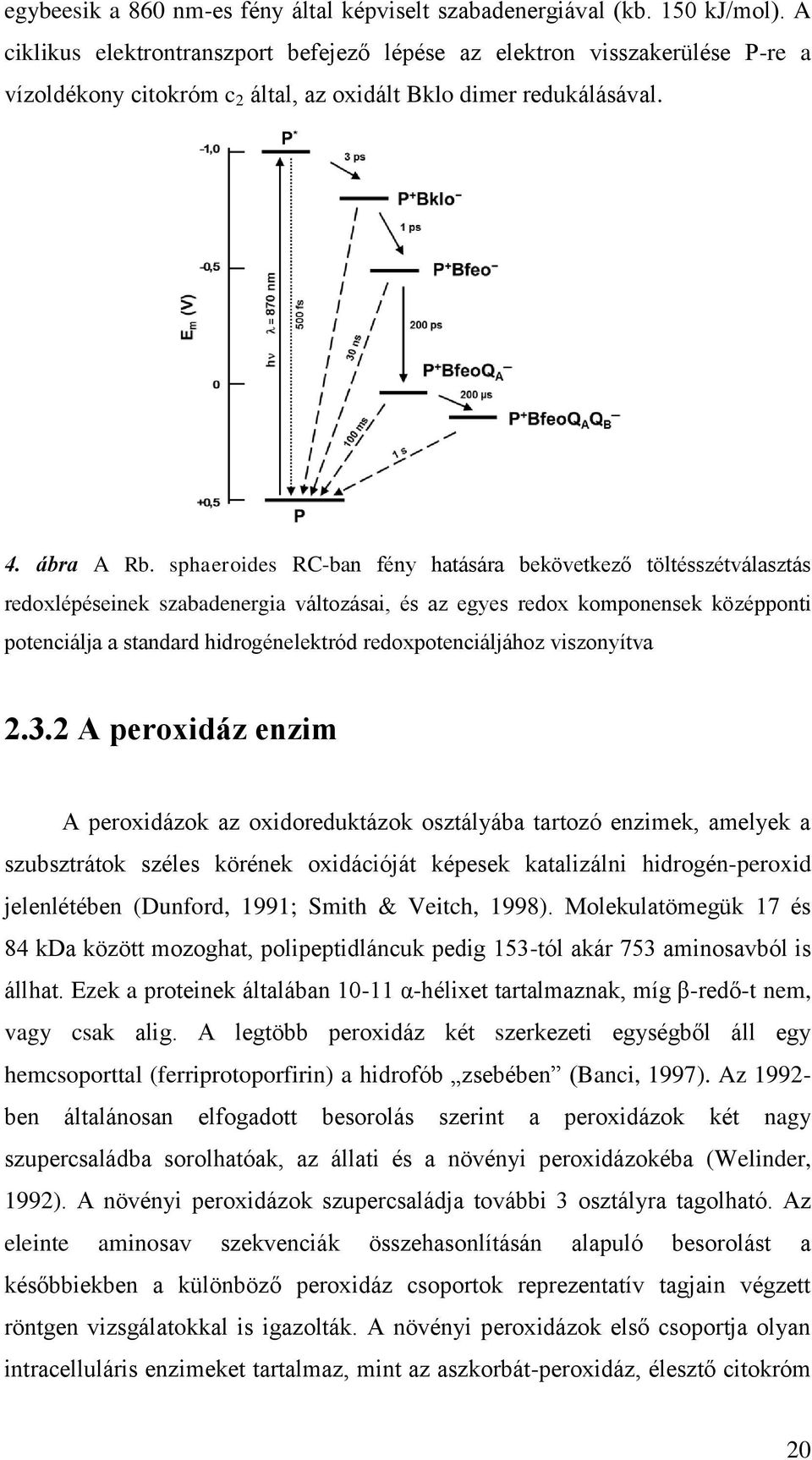sphaeroides RC-ban fény hatására bekövetkező töltésszétválasztás redoxlépéseinek szabadenergia változásai, és az egyes redox komponensek középponti potenciálja a standard hidrogénelektród