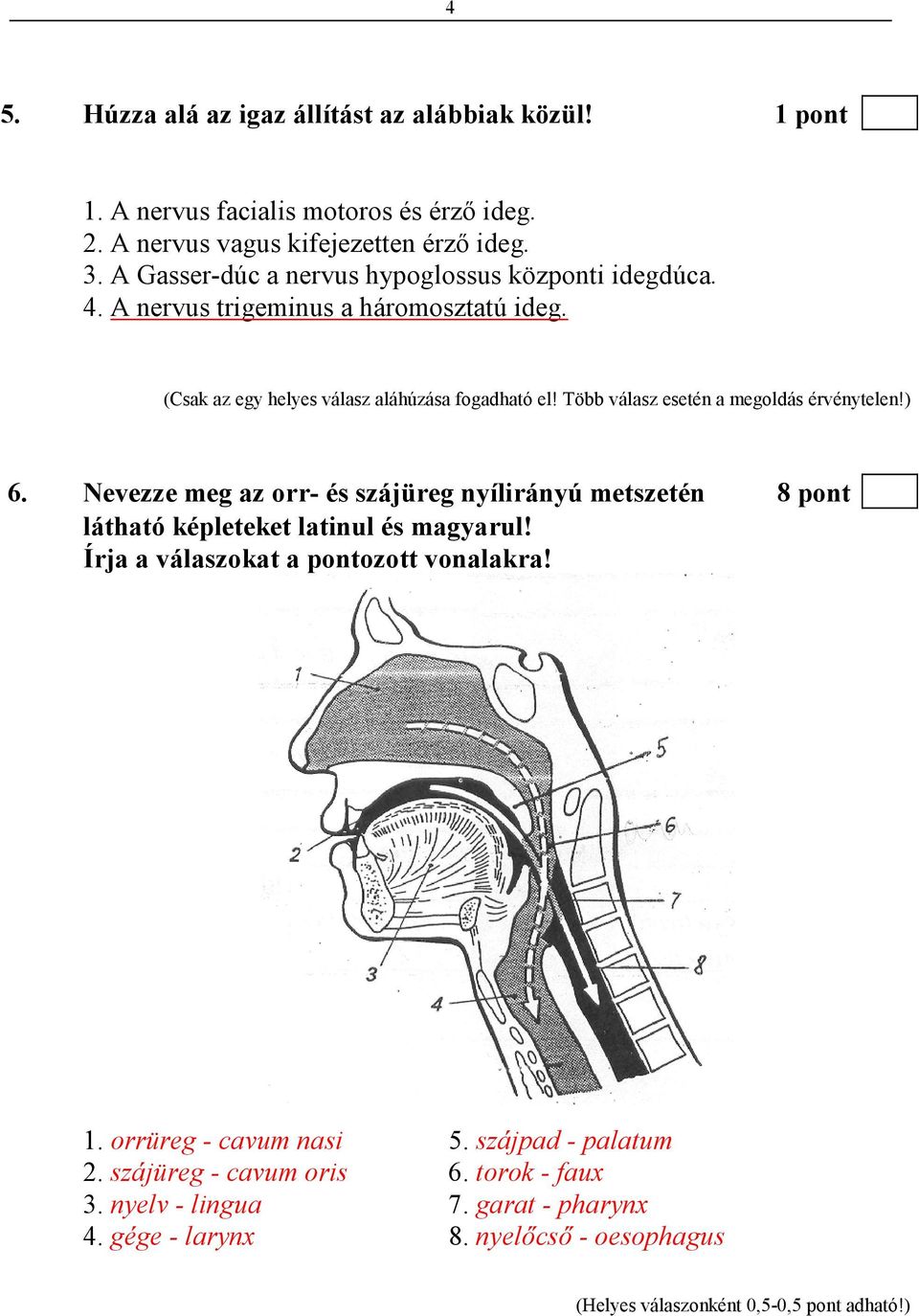 Több válasz esetén a megoldás érvénytelen!) 6. Nevezze meg az orr- és szájüreg nyílirányú metszetén 8 pont látható képleteket latinul és magyarul!