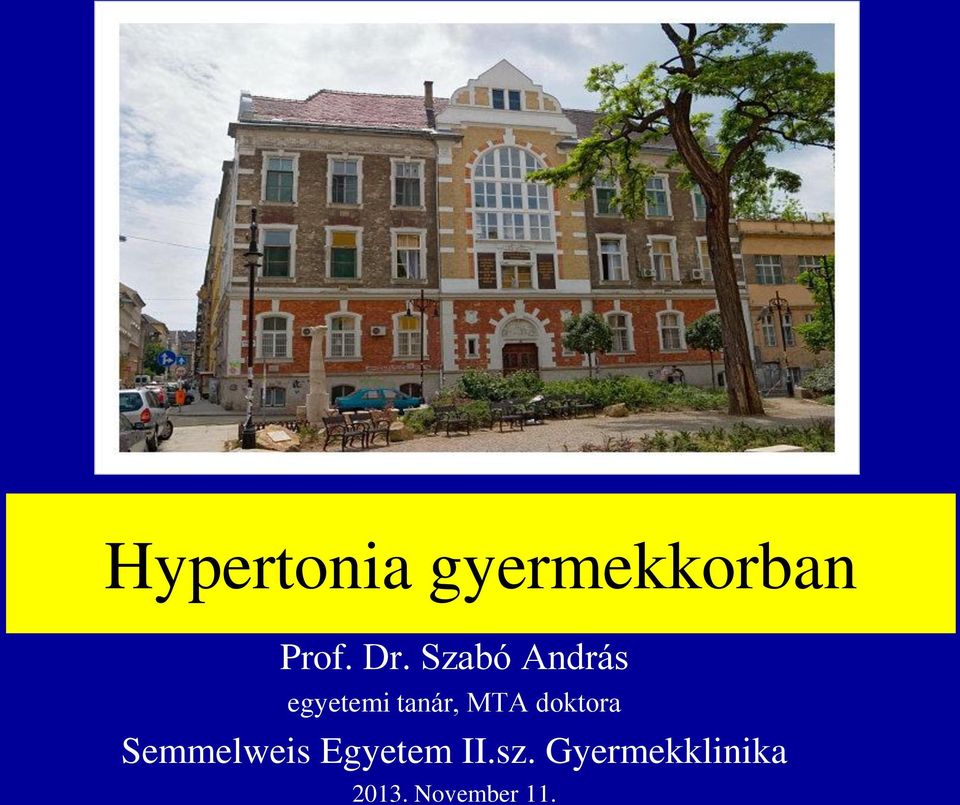 doktora Semmelweis Egyetem II.sz.