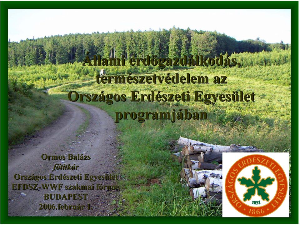 Ormos Balázs főtitkár Országos Erdészeti