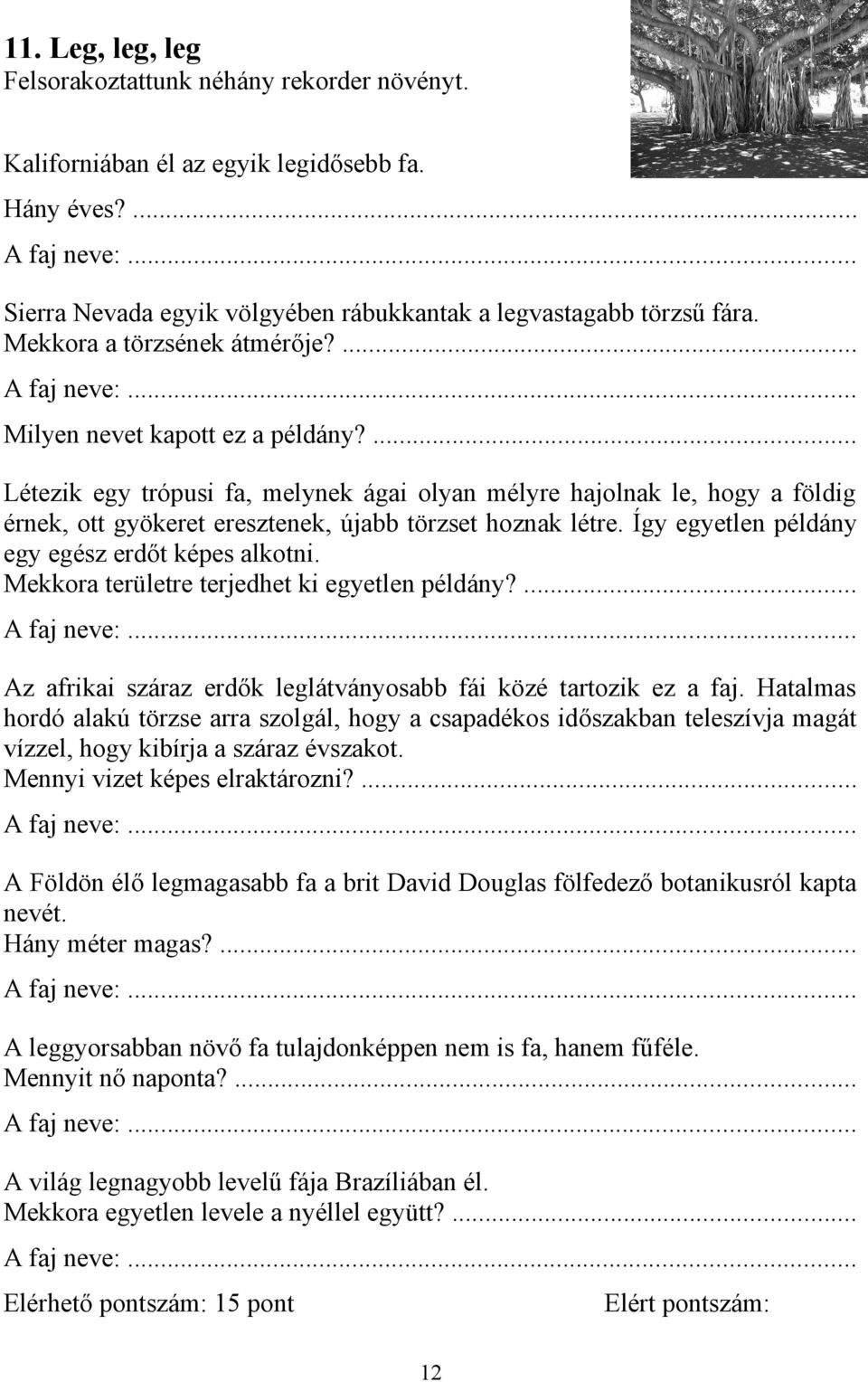 ... Létezik egy trópusi fa, melynek ágai olyan mélyre hajolnak le, hogy a földig érnek, ott gyökeret eresztenek, újabb törzset hoznak létre. Így egyetlen példány egy egész erdőt képes alkotni.