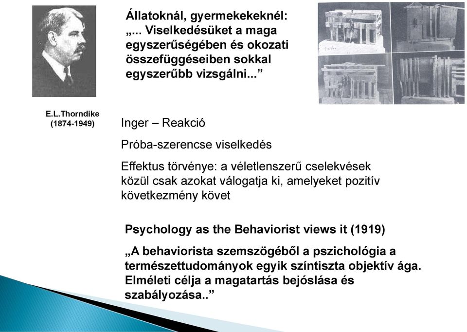 Thorndike (1874-1949) Inger Reakció Próba-szerencse viselkedés Effektus törvénye: a véletlenszerű cselekvések közül csak