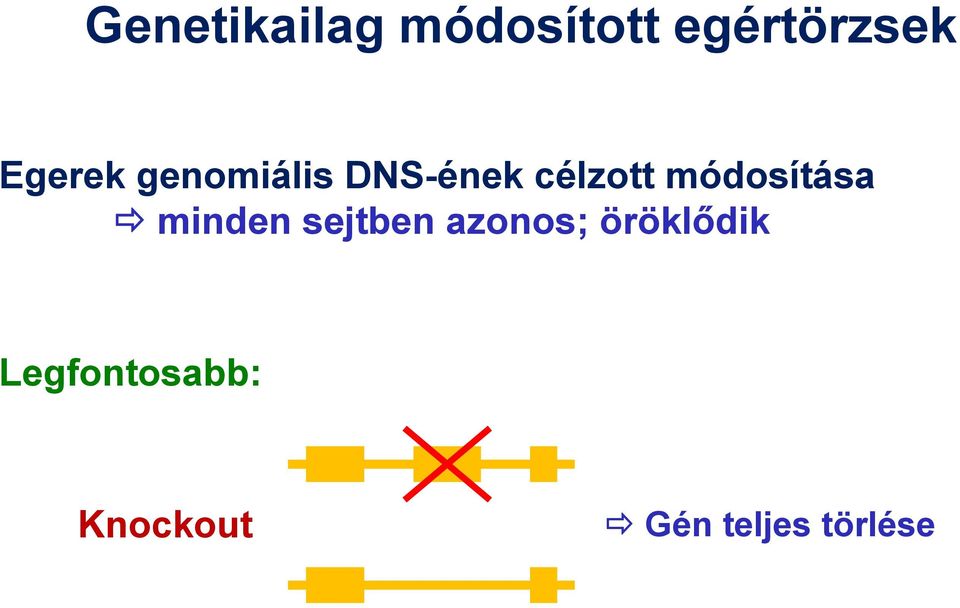 módosítása minden sejtben azonos;