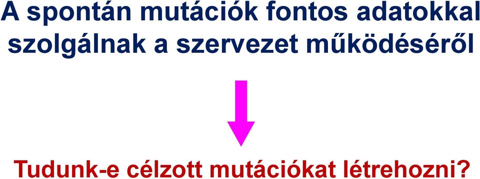 szervezet működéséről