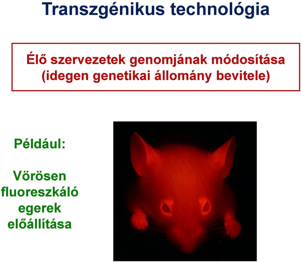 (idegen genetikai állomány bevitele)