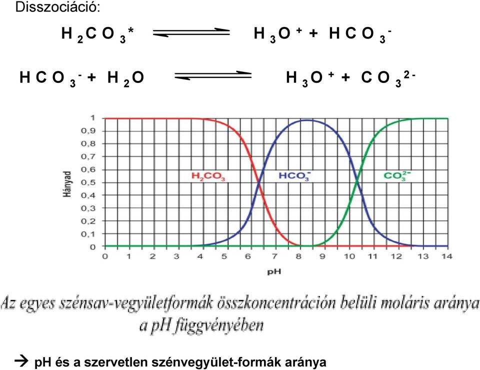 H 3 O + + C O 3 2 - ph és a