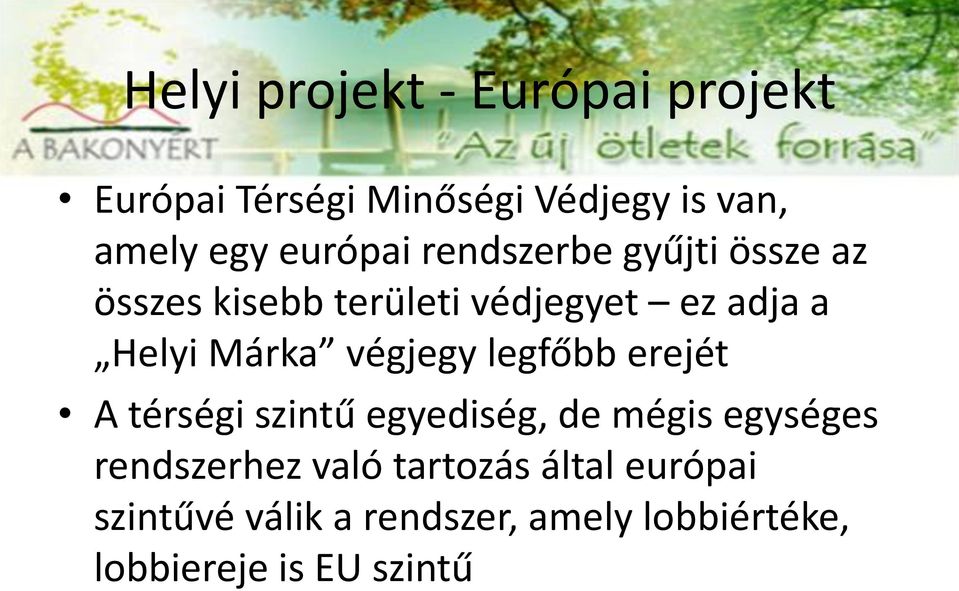 Márka végjegy legfőbb erejét A térségi szintű egyediség, de mégis egységes rendszerhez