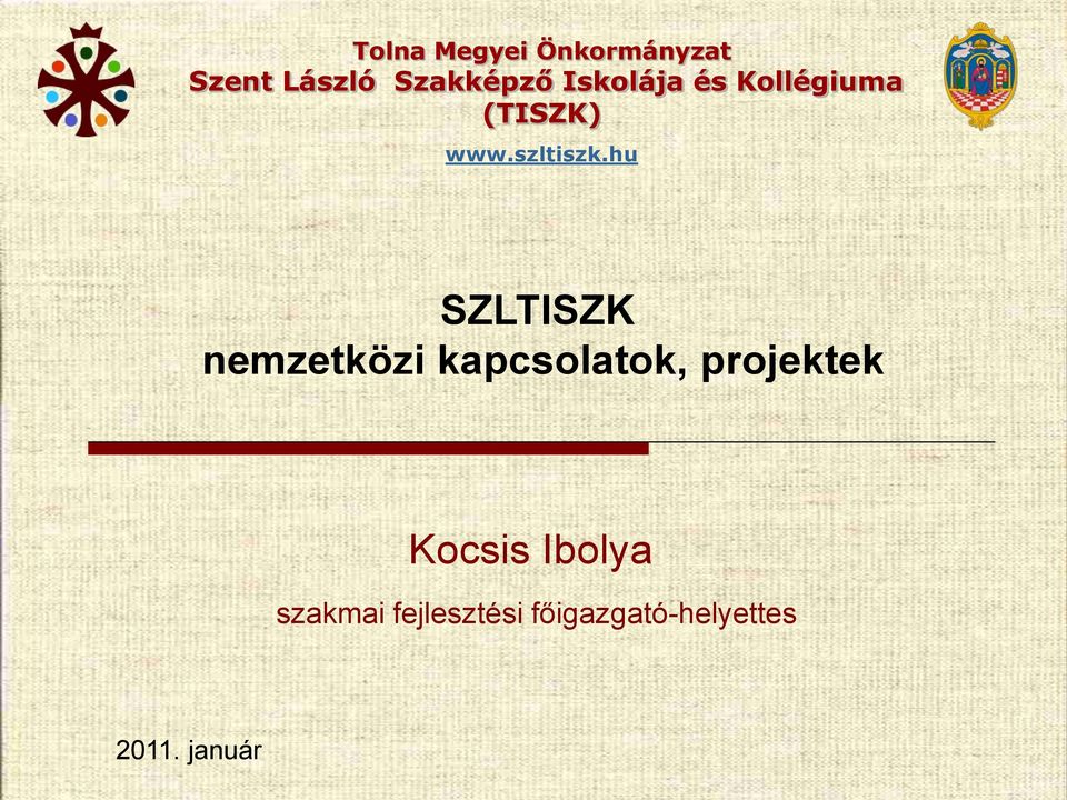 SZLTISZK nemzetközi kapcsolatok, projektek