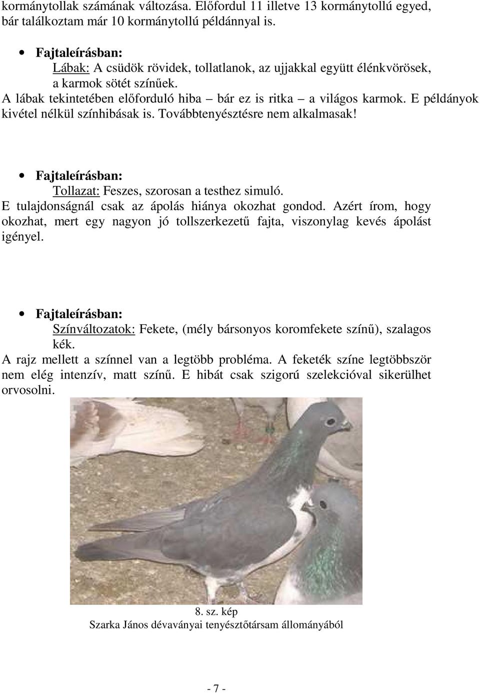 E példányok kivétel nélkül színhibásak is. Továbbtenyésztésre nem alkalmasak! Tollazat: Feszes, szorosan a testhez simuló. E tulajdonságnál csak az ápolás hiánya okozhat gondod.