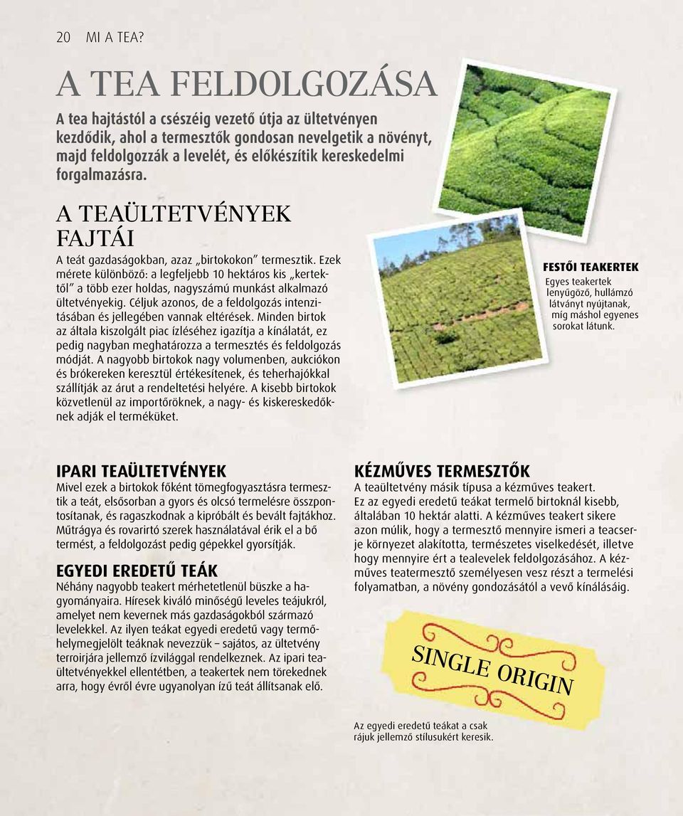 forgalmazásra. A TEAÜLTETVÉNYEK FAJTÁI A teát gazdaságokban, azaz birtokokon termesztik.